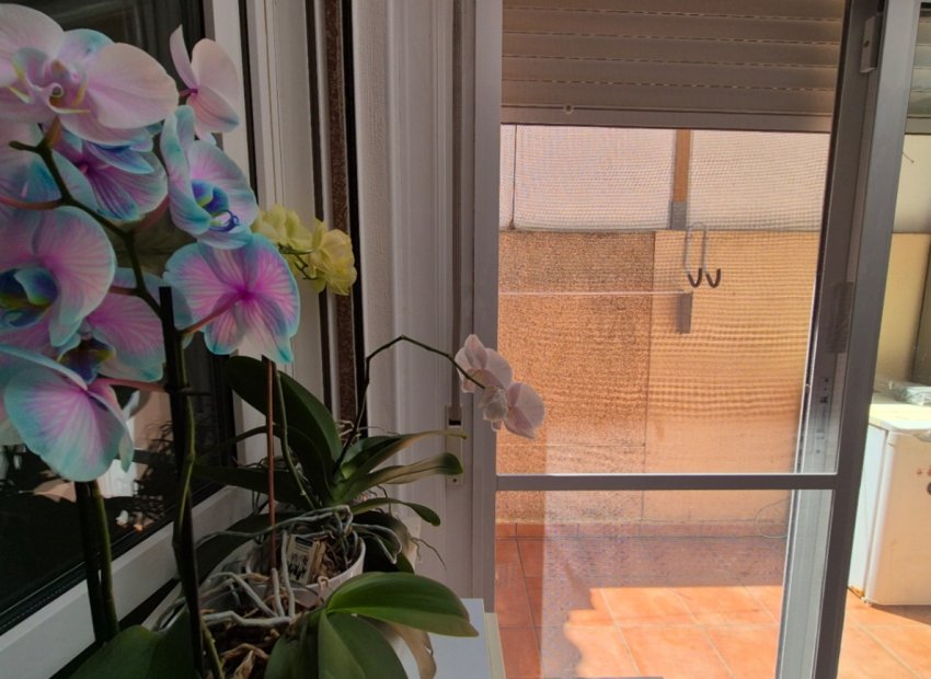 Herverkoop - Townhouse / Duplex / Corner - Torrevieia - Costa Blanca