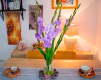 Herverkoop - Townhouse / Duplex / Corner - Torrevieia - La Siesta