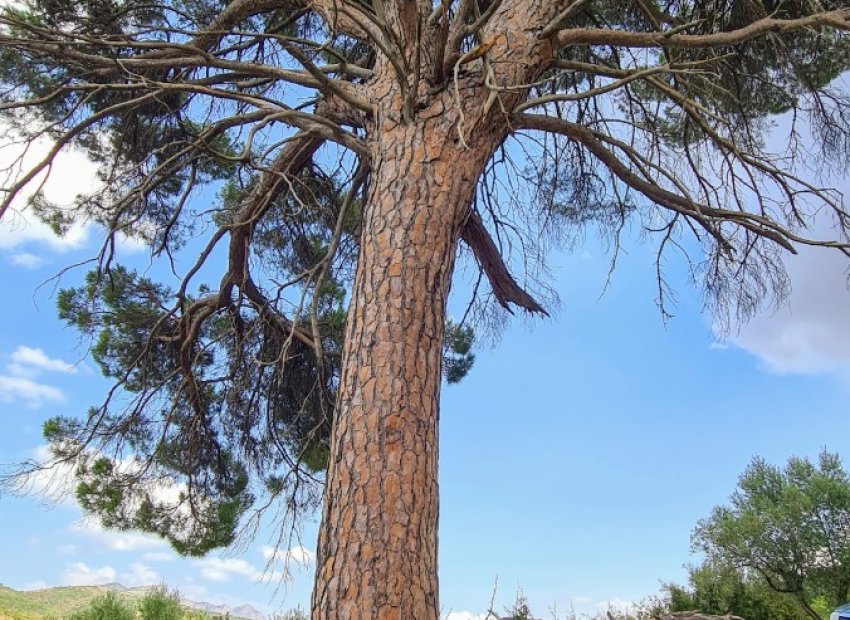 Herverkoop - Villa - Alcoy - Muro de Alcoy