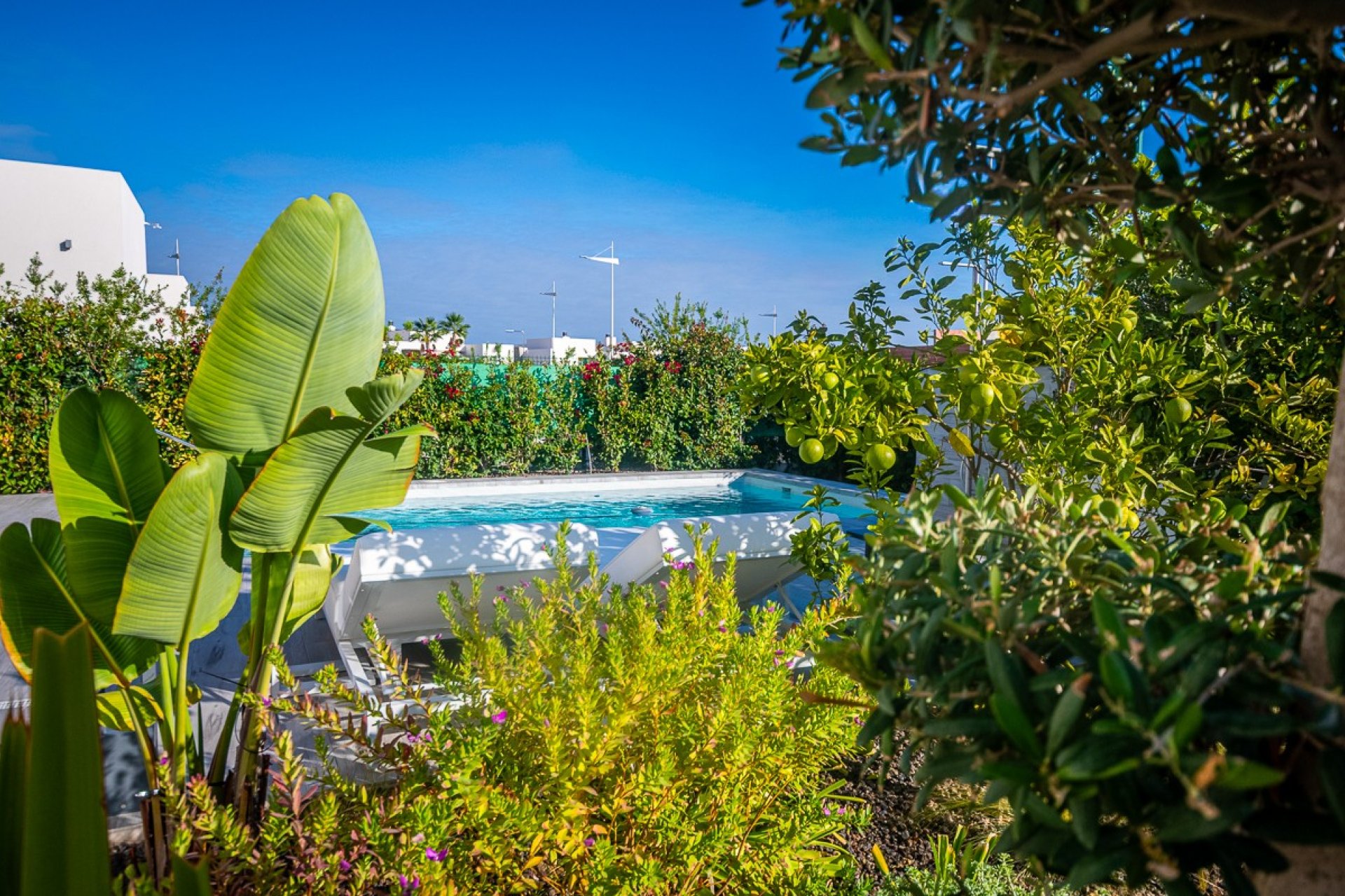 Herverkoop - Villa - Algorfa - LA FINCA GOLF / ALGORFA