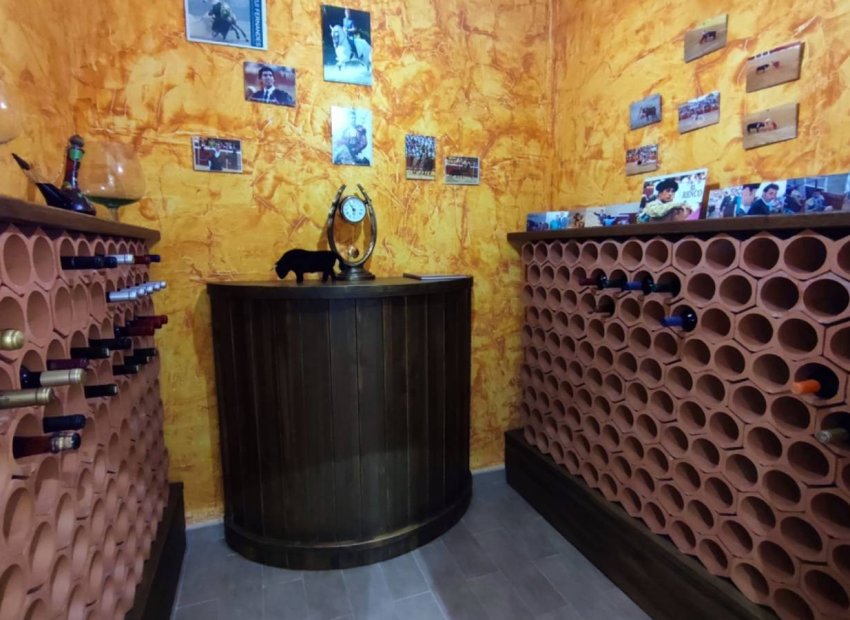 Herverkoop - Villa - Aspe