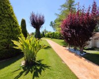 Herverkoop - Villa - Aspe