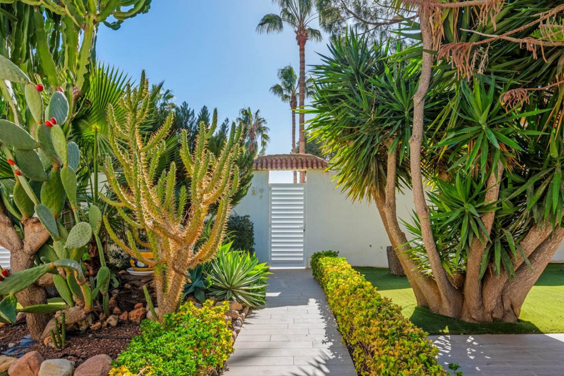 Herverkoop - Villa - Ciudad Quesada - Doña Pepa