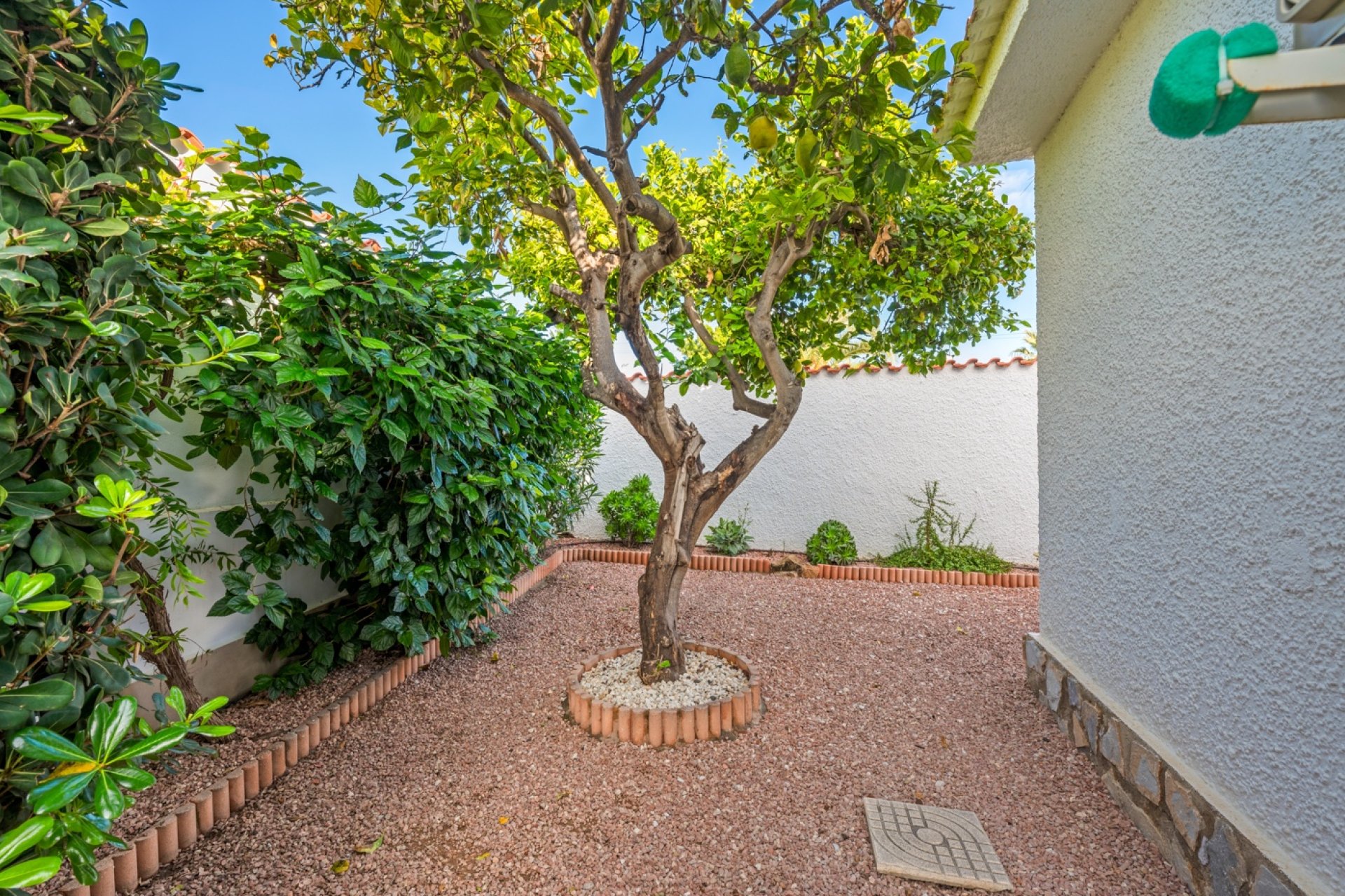 Herverkoop - Villa - Ciudad Quesada - Rojales