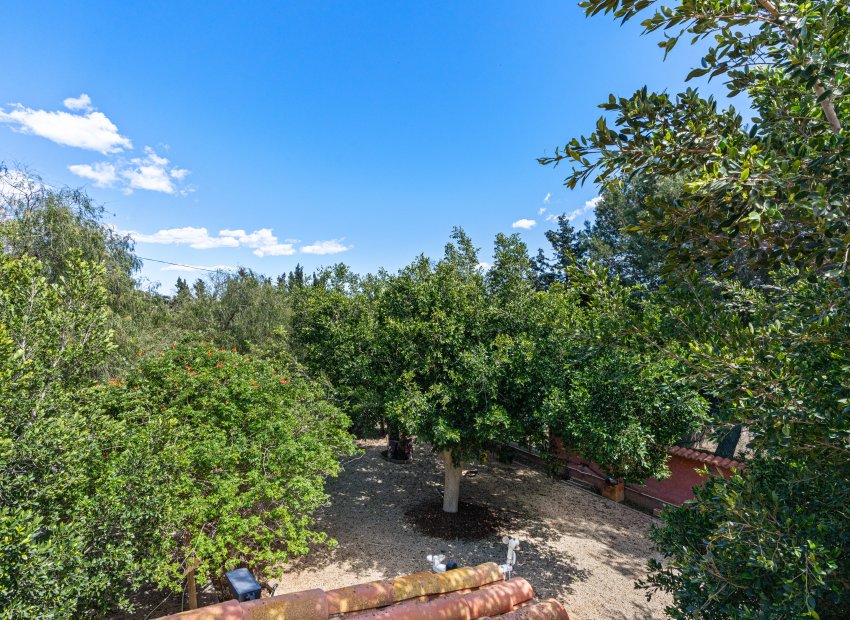 Herverkoop - Villa - El Altet - San Francisco de Asis