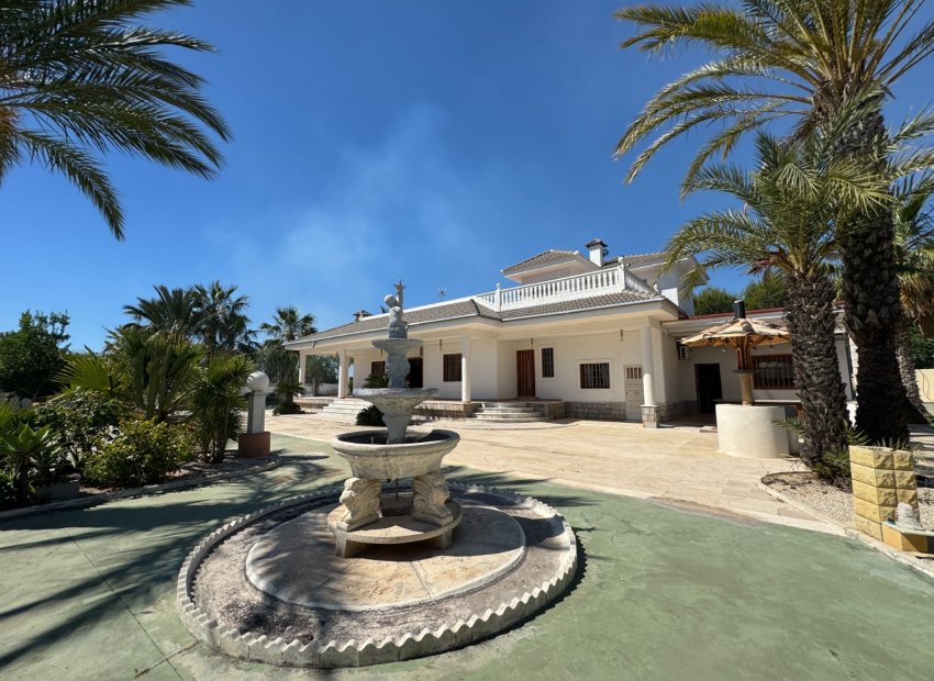 Herverkoop - Villa - Elche - Valverde