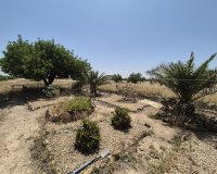 Herverkoop - Villa - Fuente Alamo - Fuente Alamo de Murcia