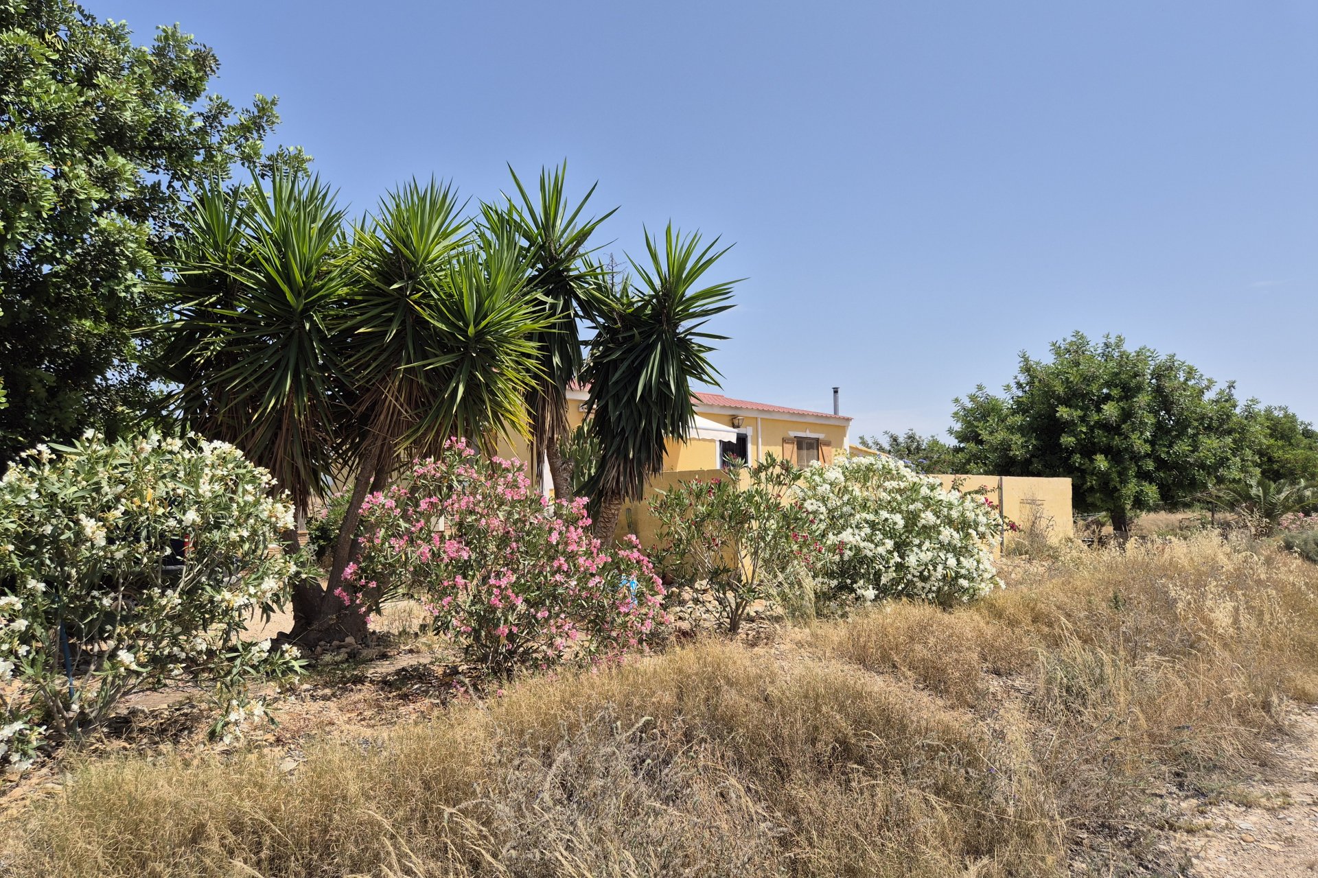 Herverkoop - Villa - Fuente Alamo - Fuente Alamo de Murcia