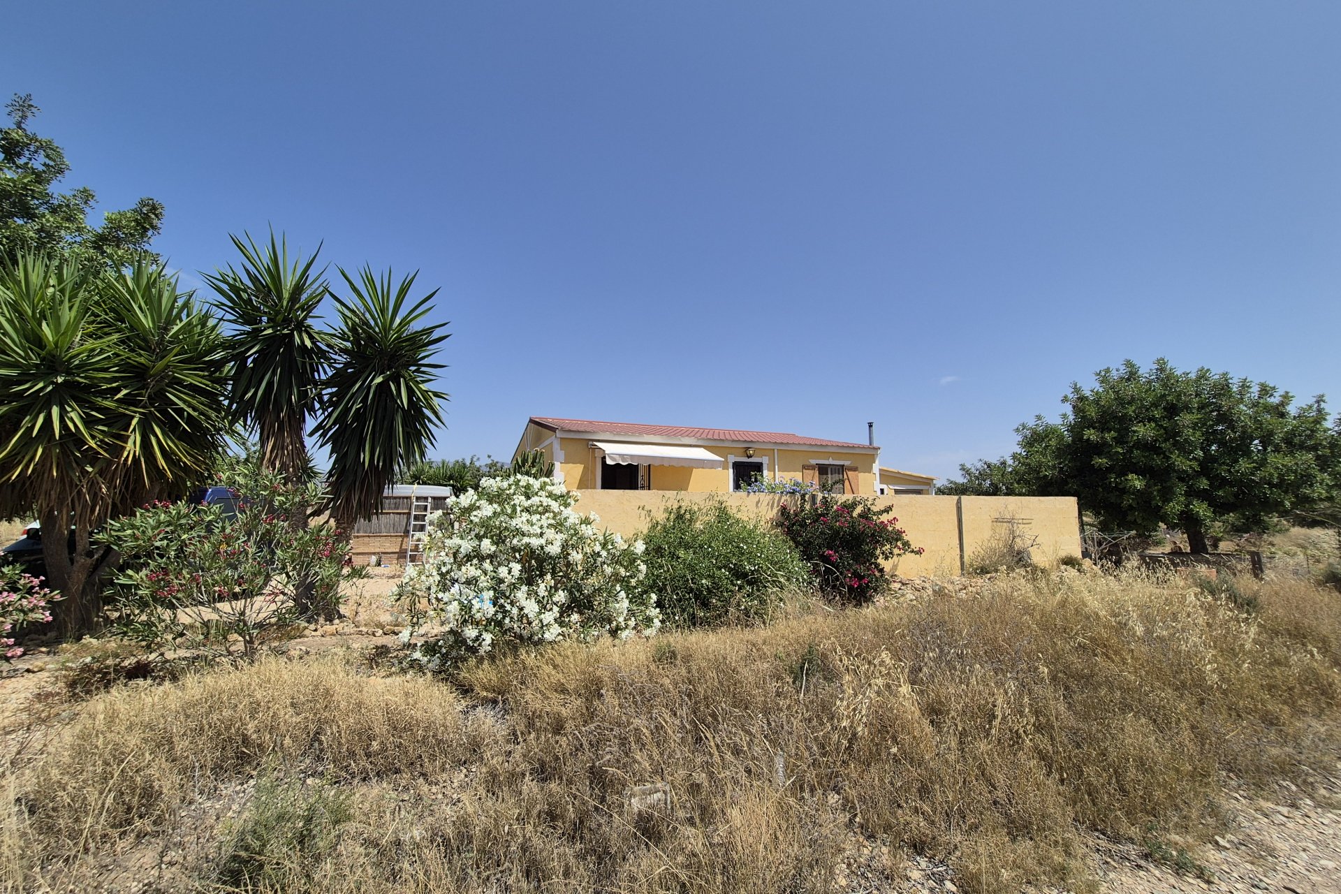 Herverkoop - Villa - Fuente Alamo - Fuente Alamo de Murcia