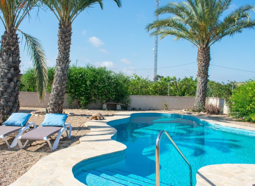 Herverkoop - Villa - Guardamar del Segura - El Raso