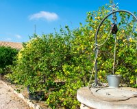 Herverkoop - Villa - Guardamar del Segura - El Raso