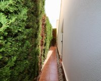 Herverkoop - Villa - Guardamar del Segura - El Raso