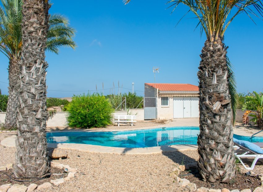 Herverkoop - Villa - Guardamar del Segura - El Raso