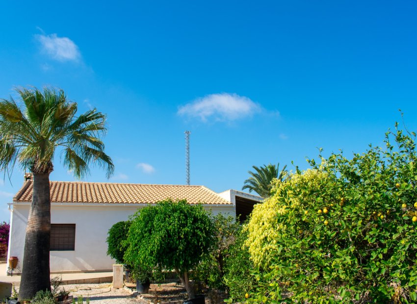 Herverkoop - Villa - Guardamar del Segura - El Raso