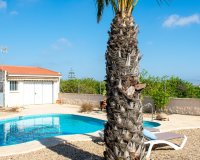 Herverkoop - Villa - Guardamar del Segura - El Raso