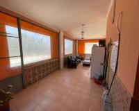 Herverkoop - Villa - Guardamar del Segura - Valencia