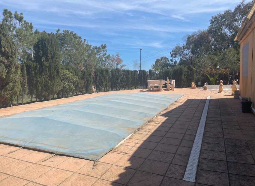 Herverkoop - Villa - Guardamar del Segura - Valencia