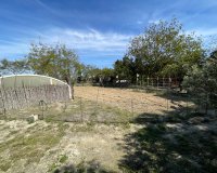 Herverkoop - Villa - Guardamar del Segura - Valencia