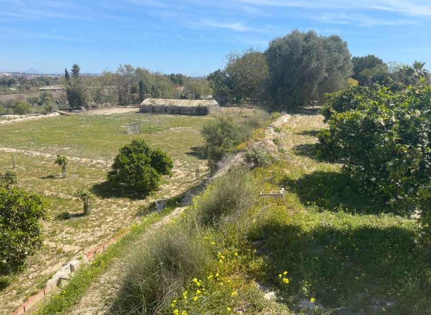 Herverkoop - Villa - Guardamar del Segura - Valencia