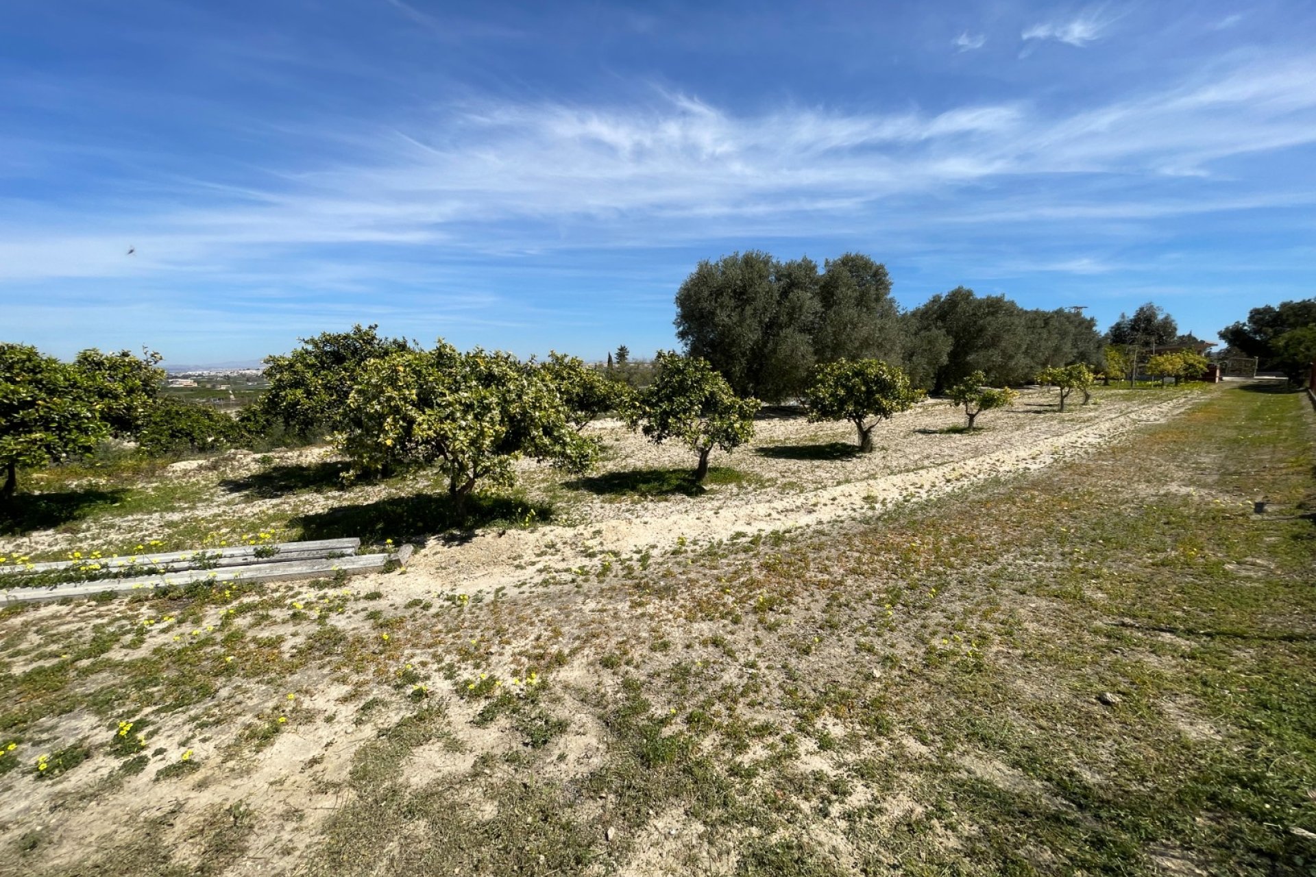 Herverkoop - Villa - Guardamar del Segura - Valencia