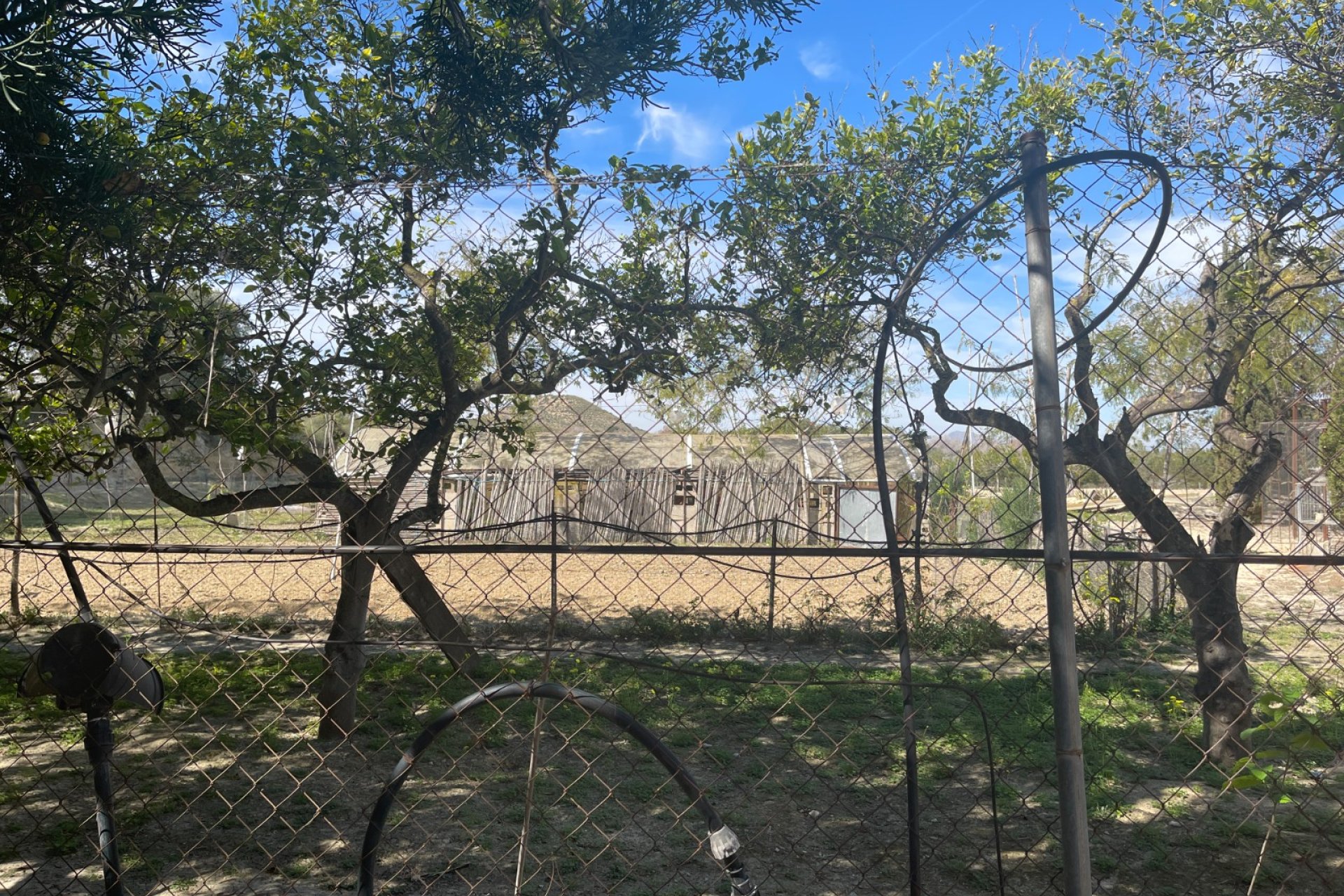 Herverkoop - Villa - Guardamar del Segura - Valencian Community