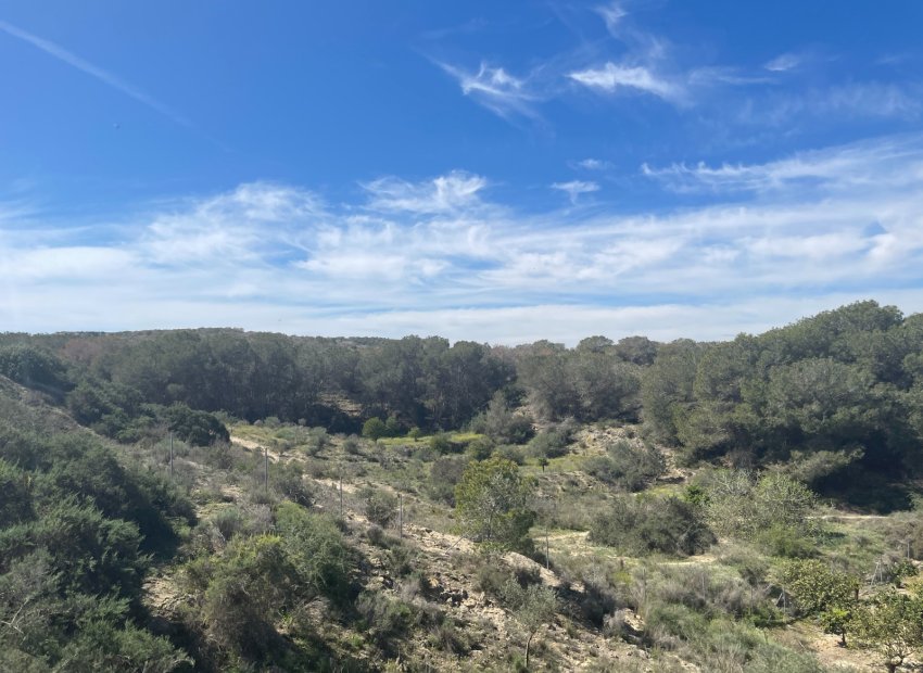 Herverkoop - Villa - Guardamar del Segura - Valencian Community