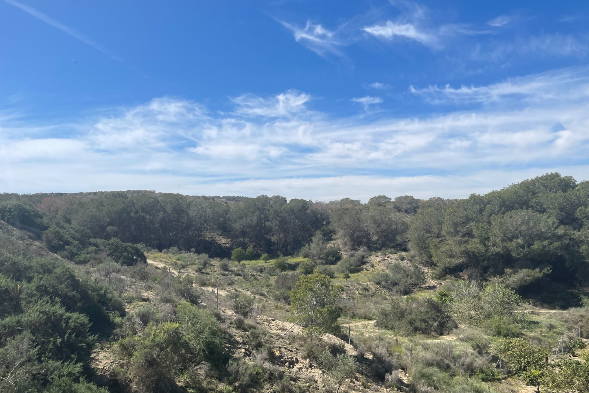 Herverkoop - Villa - Guardamar del Segura - Valencian Community