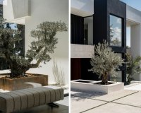 Herverkoop - Villa - Marbella - Nagueles