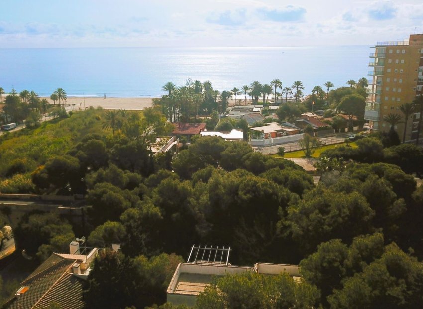 Herverkoop - Villa - Orihuela Costa - Dehesa de campoamor
