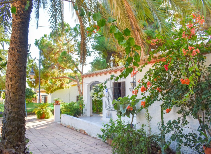 Herverkoop - Villa - Orihuela Costa - Punta Prima