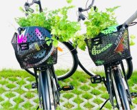 Herverkoop - Villa - Orihuela Costa - Punta Prima