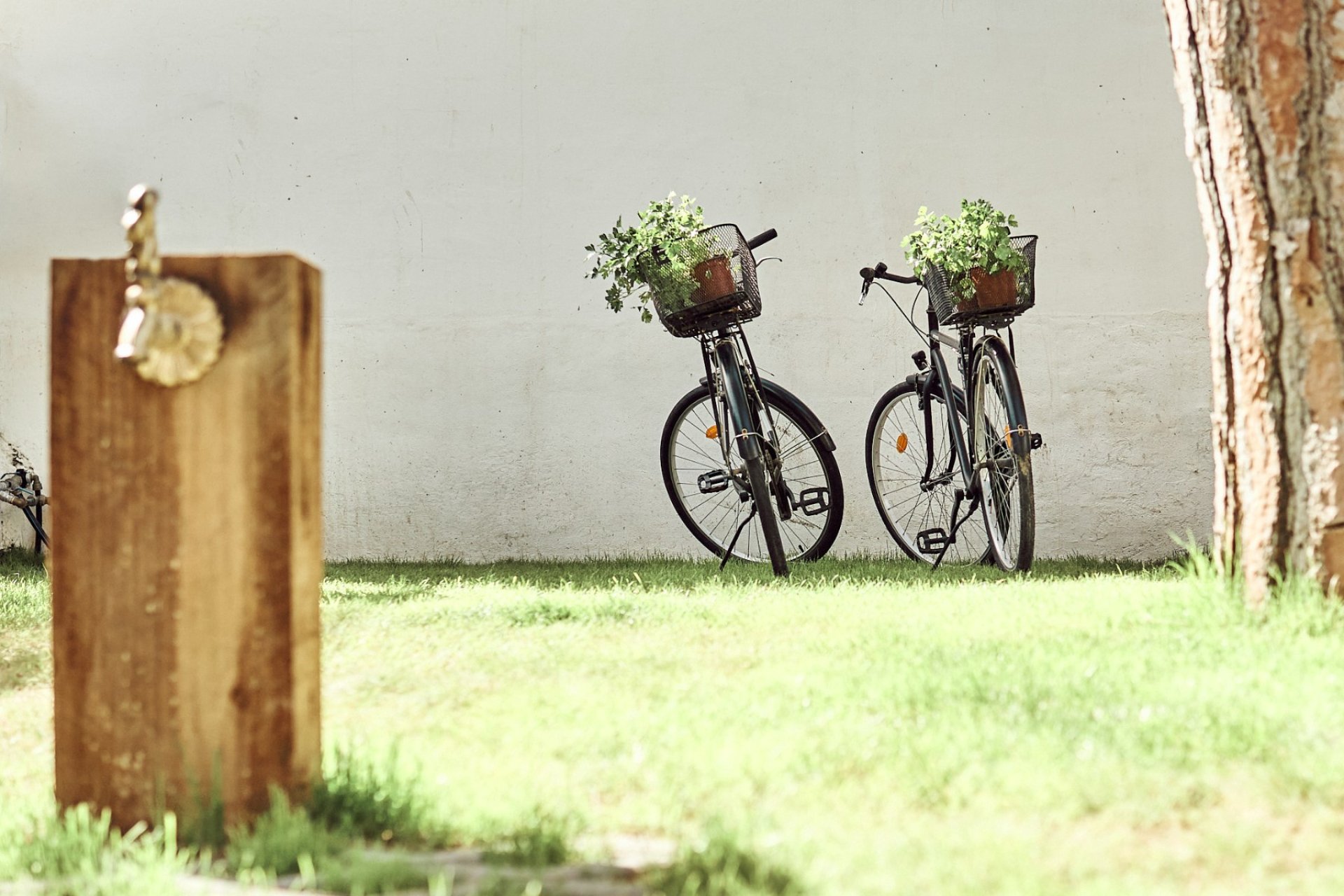 Herverkoop - Villa - Orihuela Costa - Punta Prima