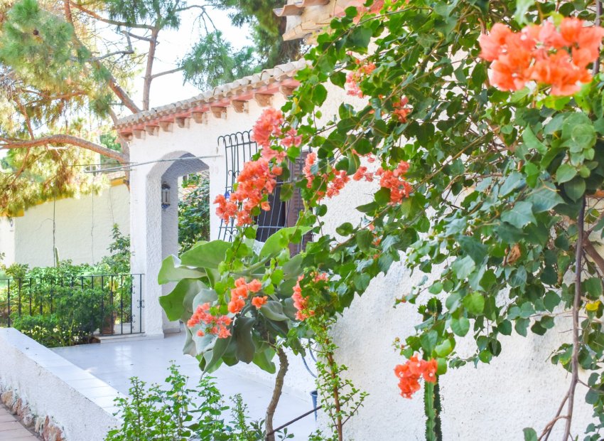 Herverkoop - Villa - Orihuela Costa - Punta Prima