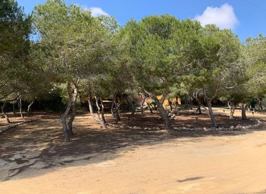 Herverkoop - Villa - Rojales - Ciudad Quesada