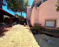 Herverkoop - Villa - San Miguel de Salinas - Ciudad de las comunicaciones