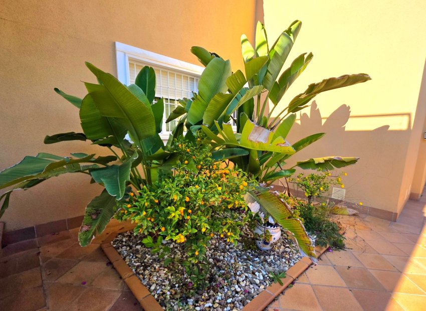 Herverkoop - Villa - Torrevieia - Cabo Cervera