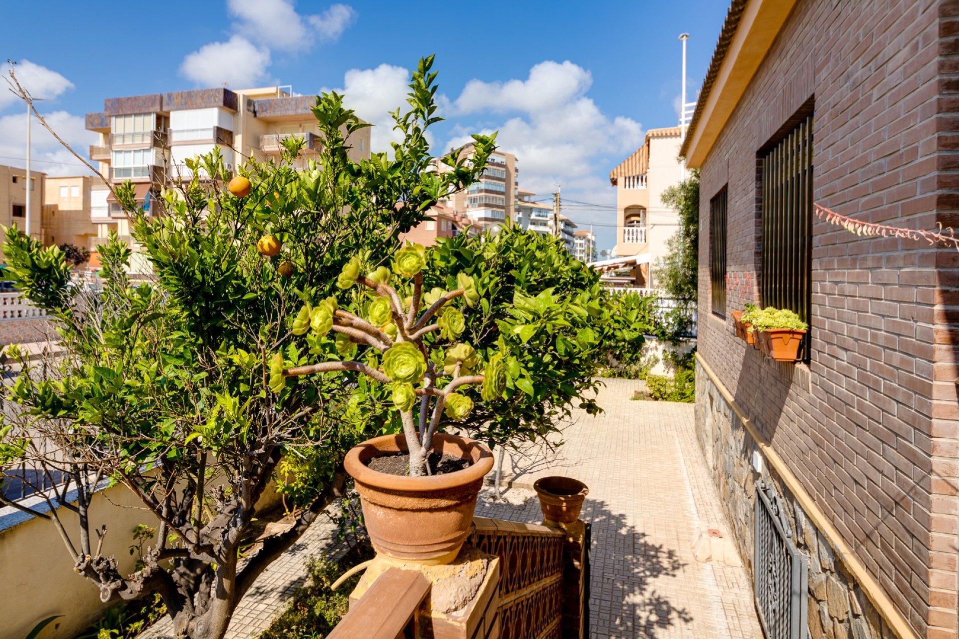 Herverkoop - Villa - Torrevieia - La Mata