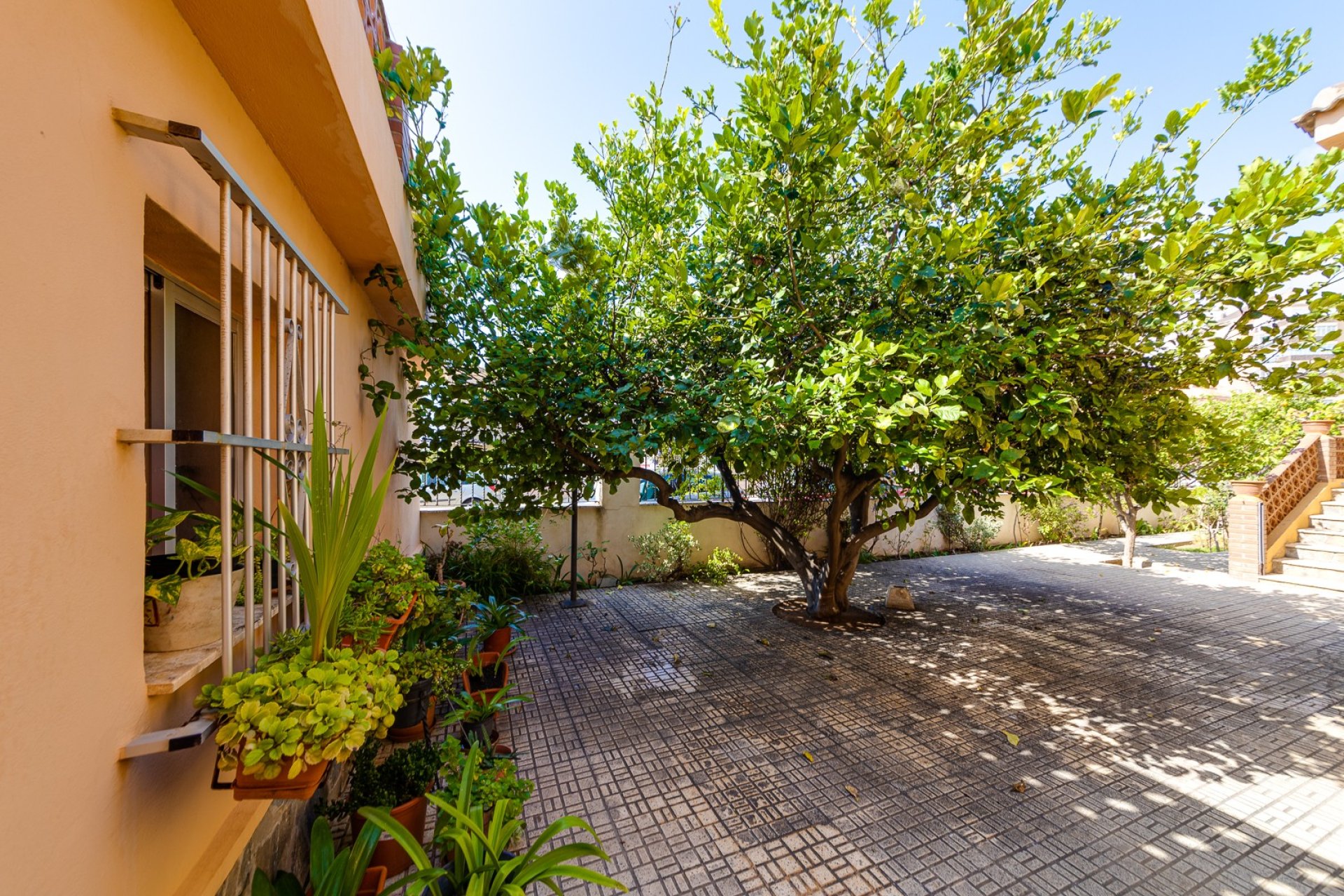 Herverkoop - Villa - Torrevieia - La Mata