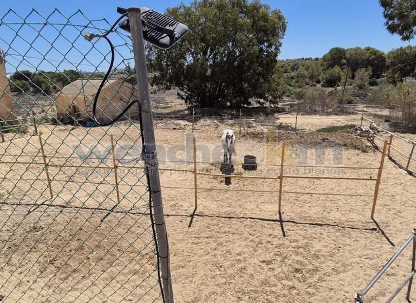 Herverkoop - Villa - Torrevieia - Los Balcones