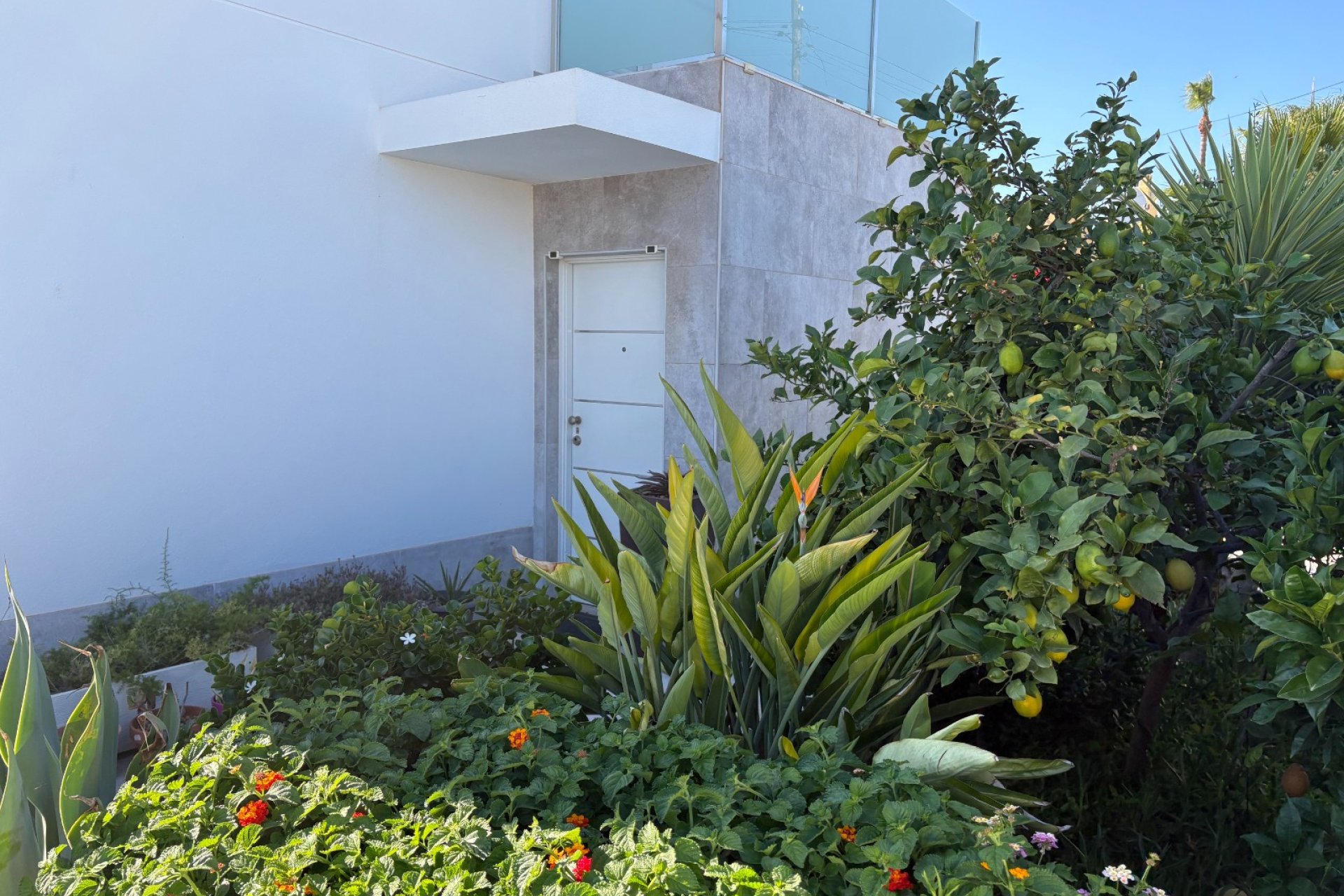 Herverkoop - Villa - Torrevieia - Torreta - Florida