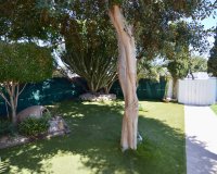 Herverkoop - Villa - Torrevieia - Torreta