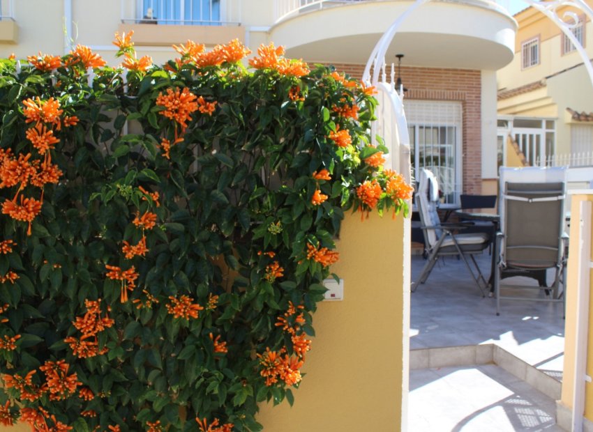 Herverkoop - Villa - Villamartín - PAU 8