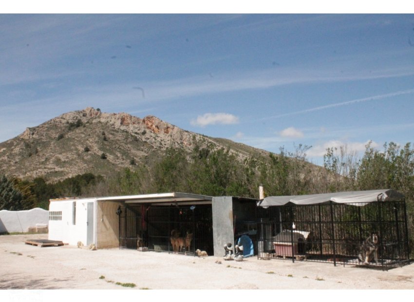 Herverkoop - Villa - Villena