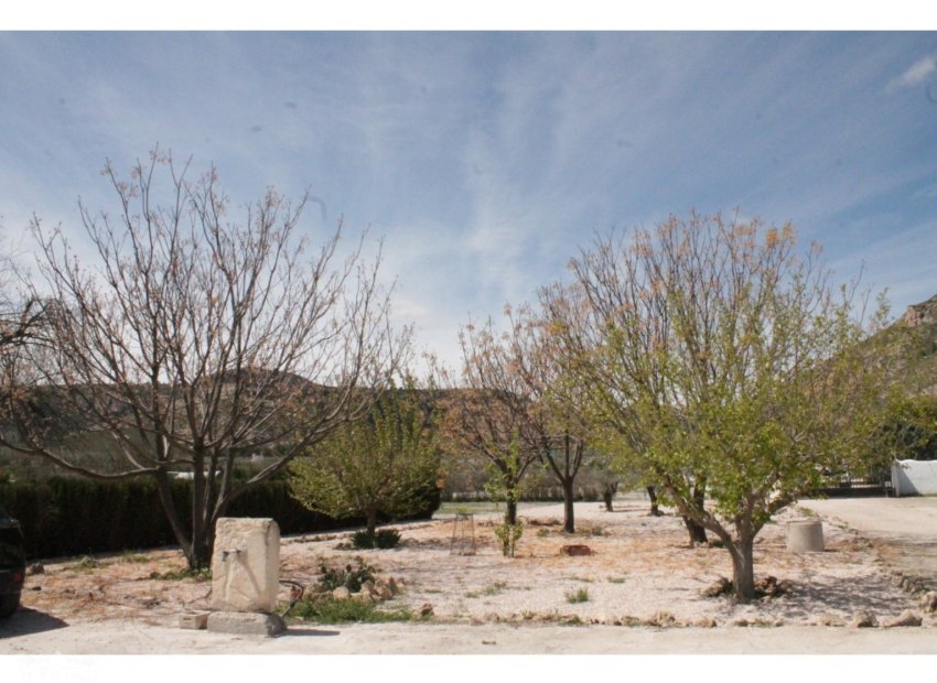 Herverkoop - Villa - Villena