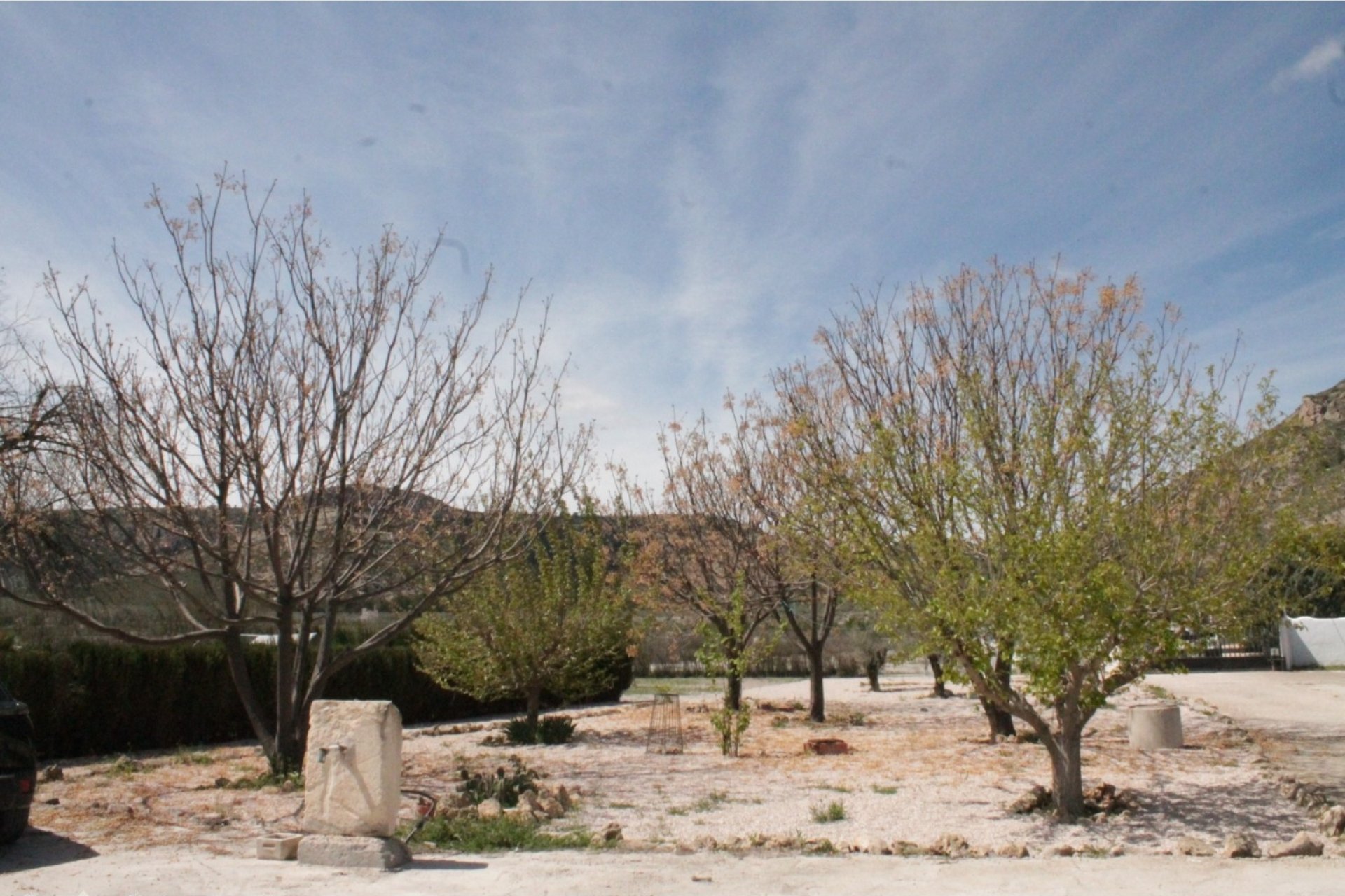 Herverkoop - Villa - Villena