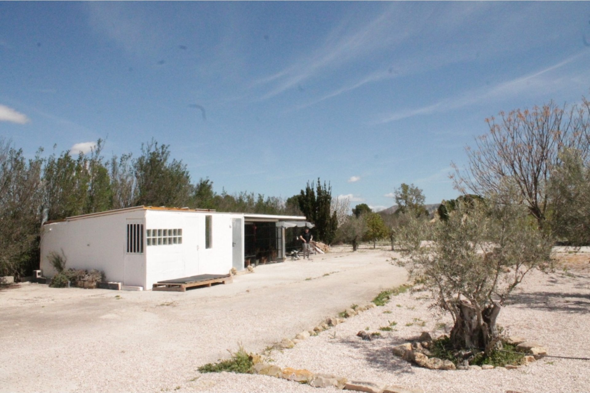 Herverkoop - Villa - Villena