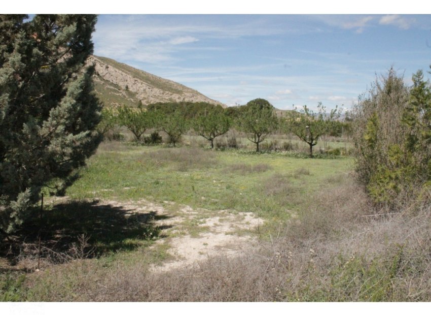 Herverkoop - Villa - Villena