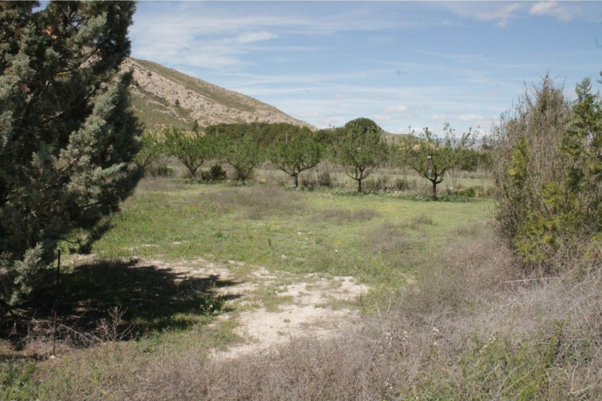 Herverkoop - Villa - Villena