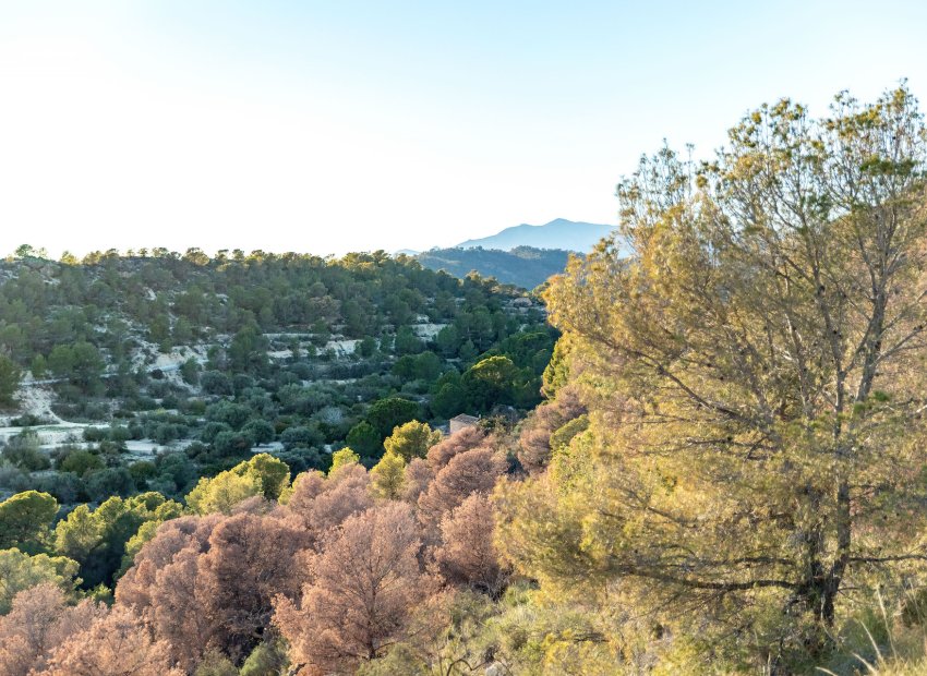 New Build - Apartment / flat - Finestrat