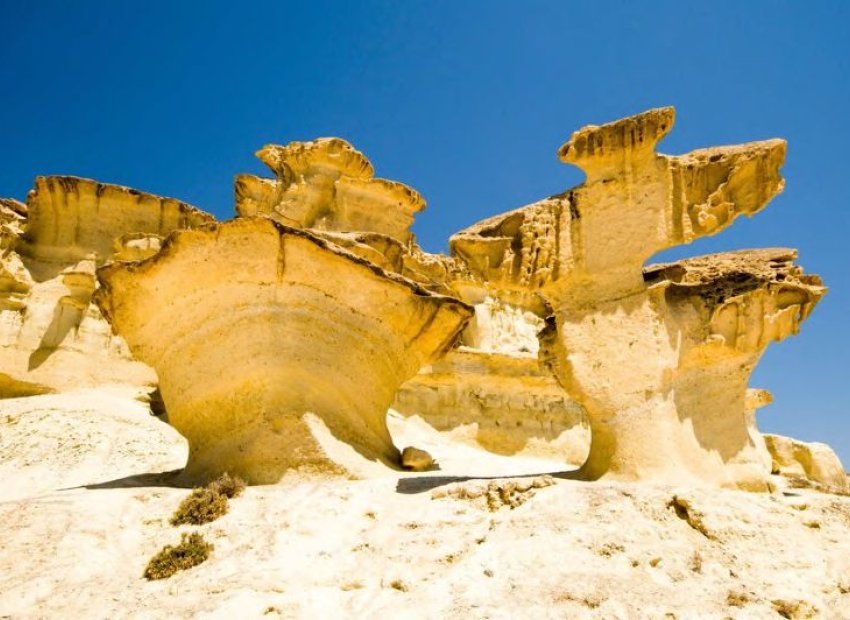 New Build - Apartment / flat - La Manga del Mar Menor